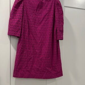Ann Taylor Fuchsia Eyelet Dress